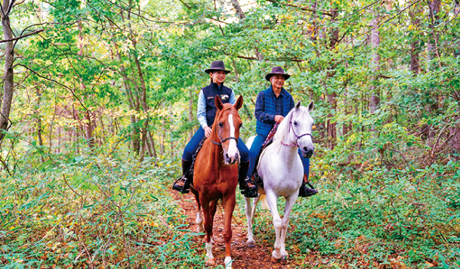 Horseback Riding 